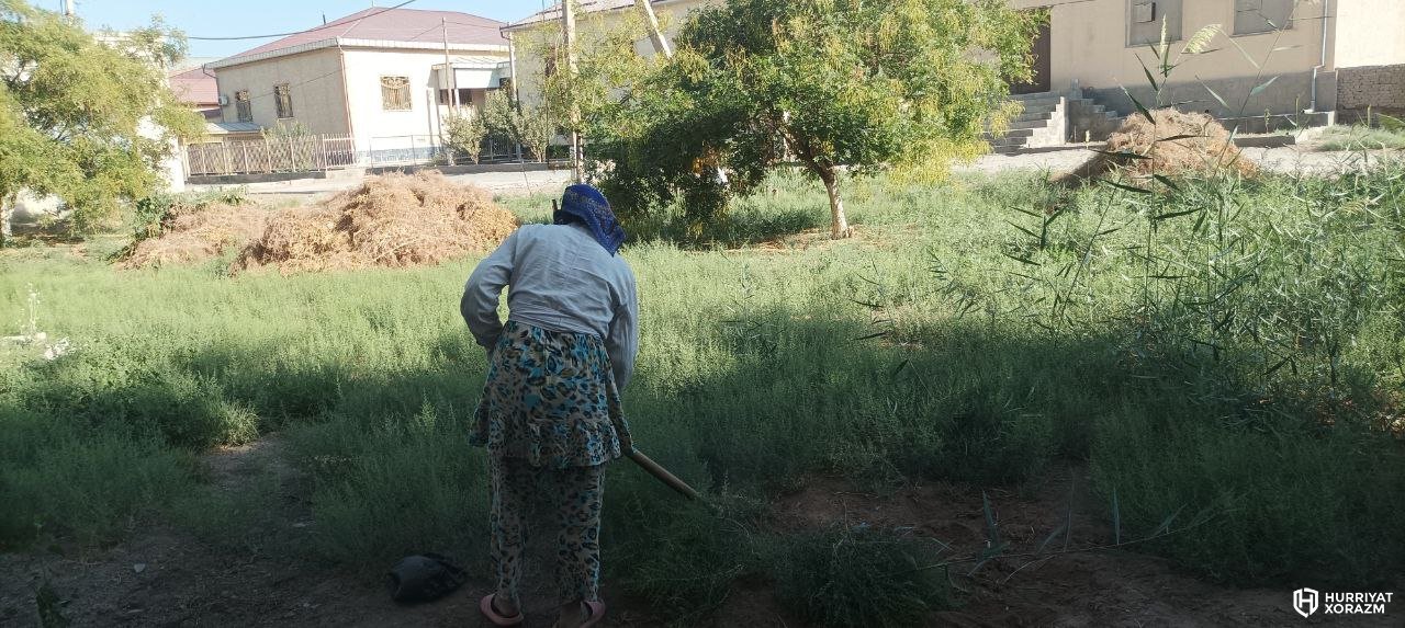 Урганч. Юксак Коммунал БСК иш кунидан намуна.