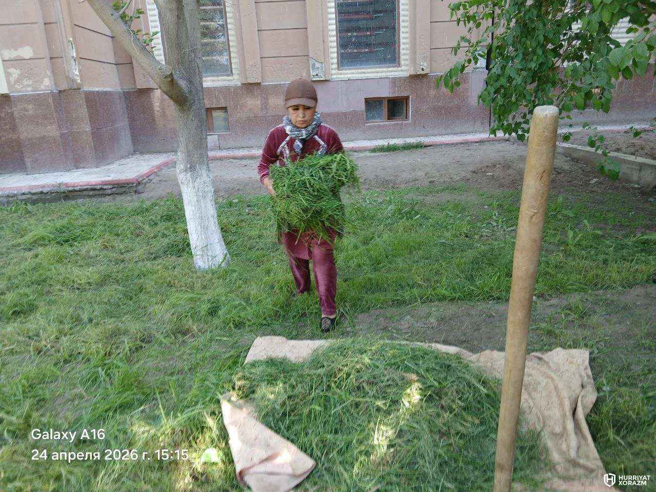 Урганчдаги намунали ишлар...